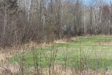 Country Home on 160 Acres of Land For Sale in Willow River MN - image 29