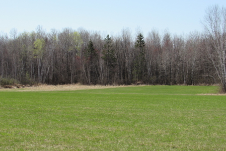 Country Home on 160 Acres of Land For Sale in Willow River MN - image 25