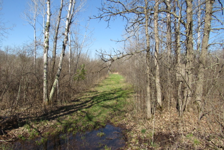 Country Home on 160 Acres of Land For Sale in Willow River MN - image 23