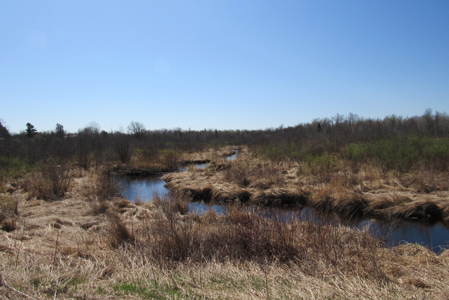 Country Home on 160 Acres of Land For Sale in Willow River MN - image 36