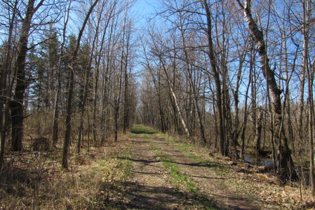 Country Home on 160 Acres of Land For Sale in Willow River MN - image 20