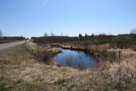 Country Home on 160 Acres of Land For Sale in Willow River MN - image 35