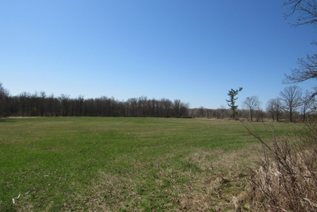 Country Home on 160 Acres of Land For Sale in Willow River MN - image 31