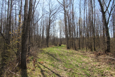 Country Home on 160 Acres of Land For Sale in Willow River MN - image 34