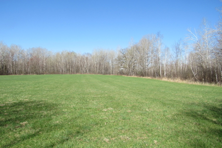 Country Home on 160 Acres of Land For Sale in Willow River MN - image 21