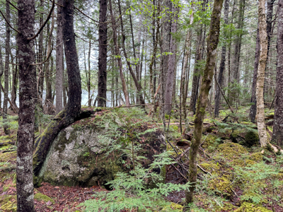 Large Lakefront Lot 22 Acres in Lakeville, ME - image 35