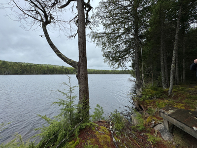 Large Lakefront Lot 22 Acres in Lakeville, ME - image 9