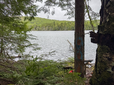 Large Lakefront Lot 22 Acres in Lakeville, ME - image 21