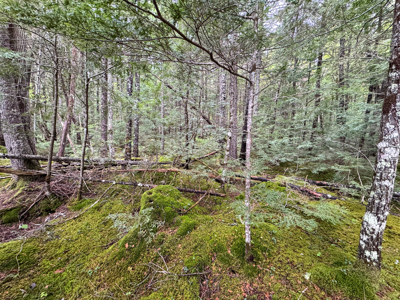Large Lakefront Lot 22 Acres in Lakeville, ME - image 30