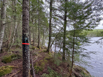 Large Lakefront Lot 22 Acres in Lakeville, ME - image 22