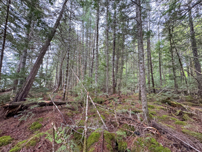 Large Lakefront Lot 22 Acres in Lakeville, ME - image 15