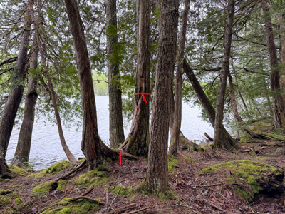 Large Lakefront Lot 22 Acres in Lakeville, ME - image 33