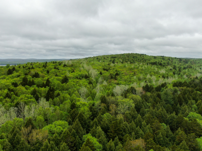 Large Lakefront Lot 22 Acres in Lakeville, ME - image 4