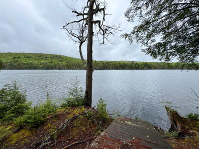Large Lakefront Lot 22 Acres in Lakeville, ME - image 24