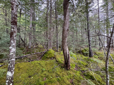 Large Lakefront Lot 22 Acres in Lakeville, ME - image 31