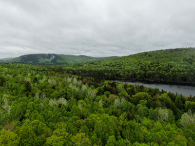 Large Lakefront Lot 22 Acres in Lakeville, ME - image 5