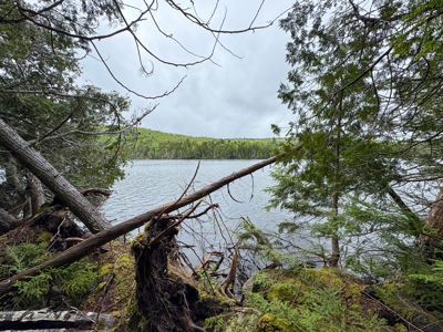 Large Lakefront Lot 22 Acres in Lakeville, ME - image 19