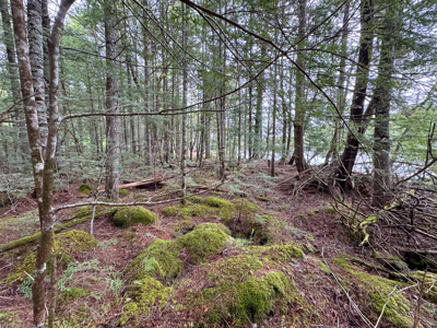 Large Lakefront Lot 22 Acres in Lakeville, ME - image 13