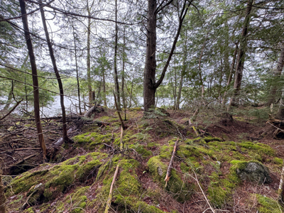 Large Lakefront Lot 22 Acres in Lakeville, ME - image 14