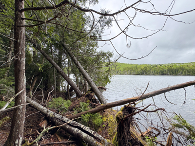 Large Lakefront Lot 22 Acres in Lakeville, ME - image 18