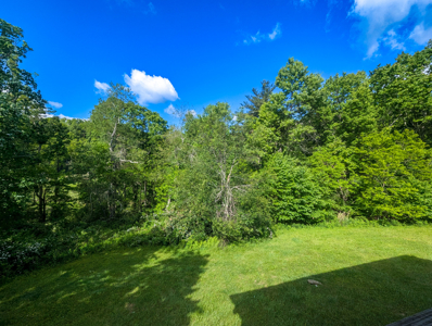 Turn-Key Mountain Getaway Cabin with Rental Income Potential - image 30