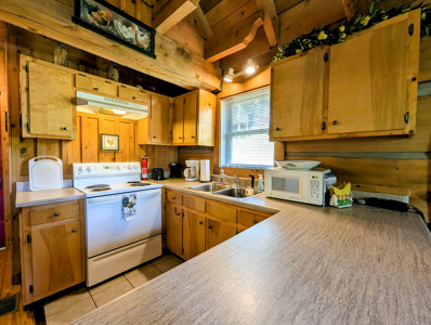 Turn-Key Mountain Getaway Cabin with Rental Income Potential - image 11