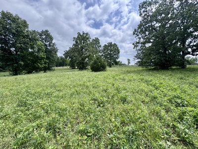 Prime Commercial Land With Highway Frontage For Sale In Arkansas - image 3