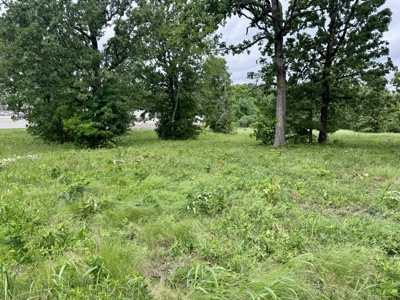 Prime Commercial Land With Highway Frontage For Sale In Arkansas - image 4