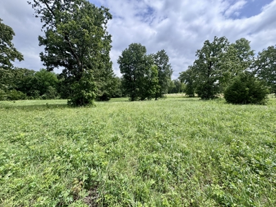 Prime Commercial Land With Highway Frontage For Sale In Arkansas - image 1