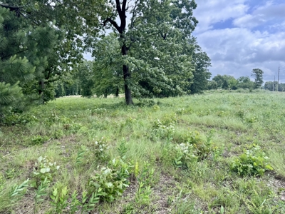 Prime Commercial Land With Highway Frontage For Sale In Arkansas - image 5