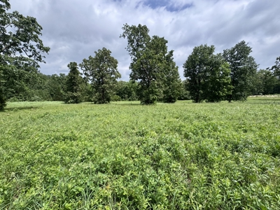 Prime Commercial Land With Highway Frontage For Sale In Arkansas - image 2
