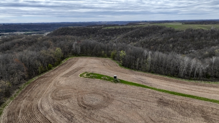 65-acre trophy whitetail and turkey hotspot - image 17