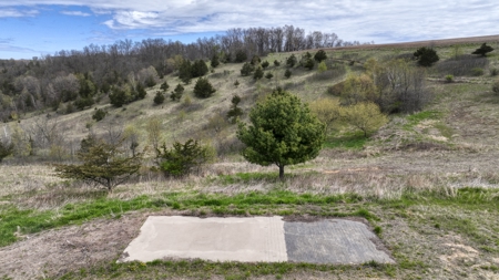 65-acre trophy whitetail and turkey hotspot - image 5