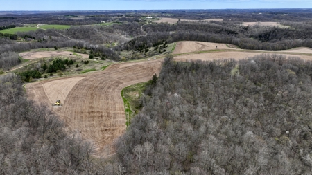 65-acre trophy whitetail and turkey hotspot - image 23