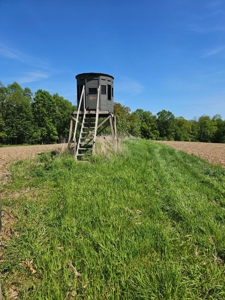 65-acre trophy whitetail and turkey hotspot - image 9