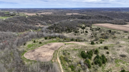 65-acre trophy whitetail and turkey hotspot - image 4