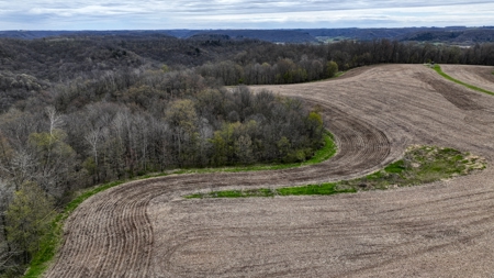 65-acre trophy whitetail and turkey hotspot - image 18