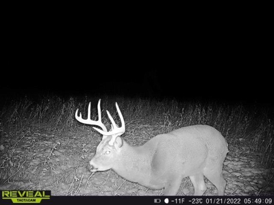 65-acre trophy whitetail and turkey hotspot - image 30
