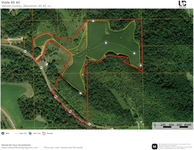 65-acre trophy whitetail and turkey hotspot - image 2