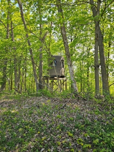 65-acre trophy whitetail and turkey hotspot - image 12
