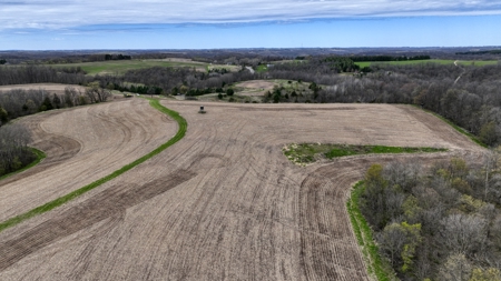 65-acre trophy whitetail and turkey hotspot - image 21