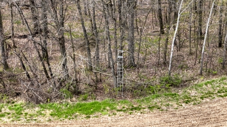 65-acre trophy whitetail and turkey hotspot - image 26