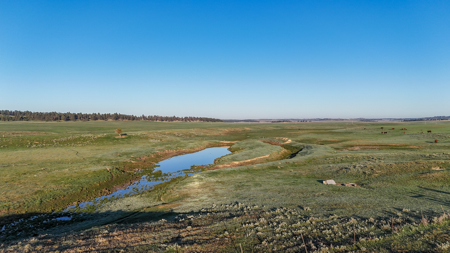 Buffalo Creek Ranch – Luxury Montana Hunting Property - image 12