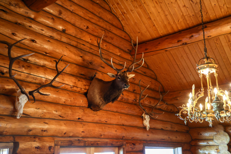 Buffalo Creek Ranch – Luxury Montana Hunting Property - image 45