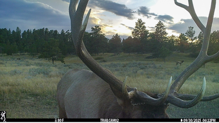 Buffalo Creek Ranch – Luxury Montana Hunting Property - image 43