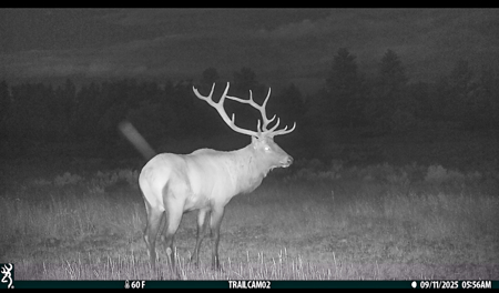 Buffalo Creek Ranch – Luxury Montana Hunting Property - image 30