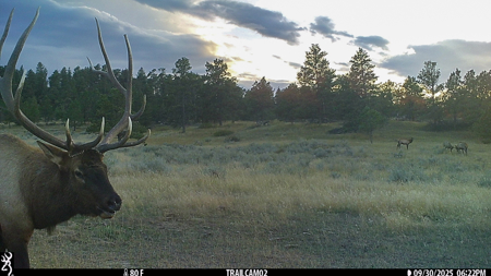 Buffalo Creek Ranch – Luxury Montana Hunting Property - image 32