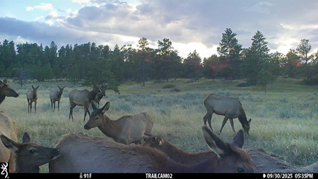 Buffalo Creek Ranch – Luxury Montana Hunting Property - image 36