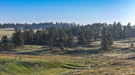 Buffalo Creek Ranch – Luxury Montana Hunting Property - image 24
