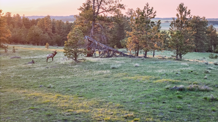 Buffalo Creek Ranch – Luxury Montana Hunting Property - image 18